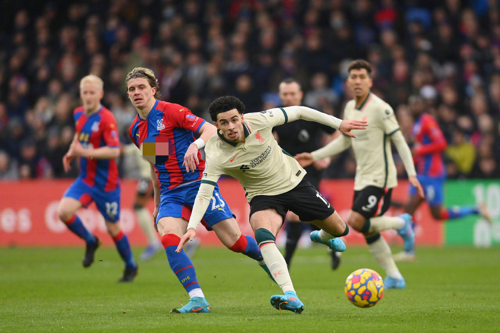 报道获得了 报道获得了