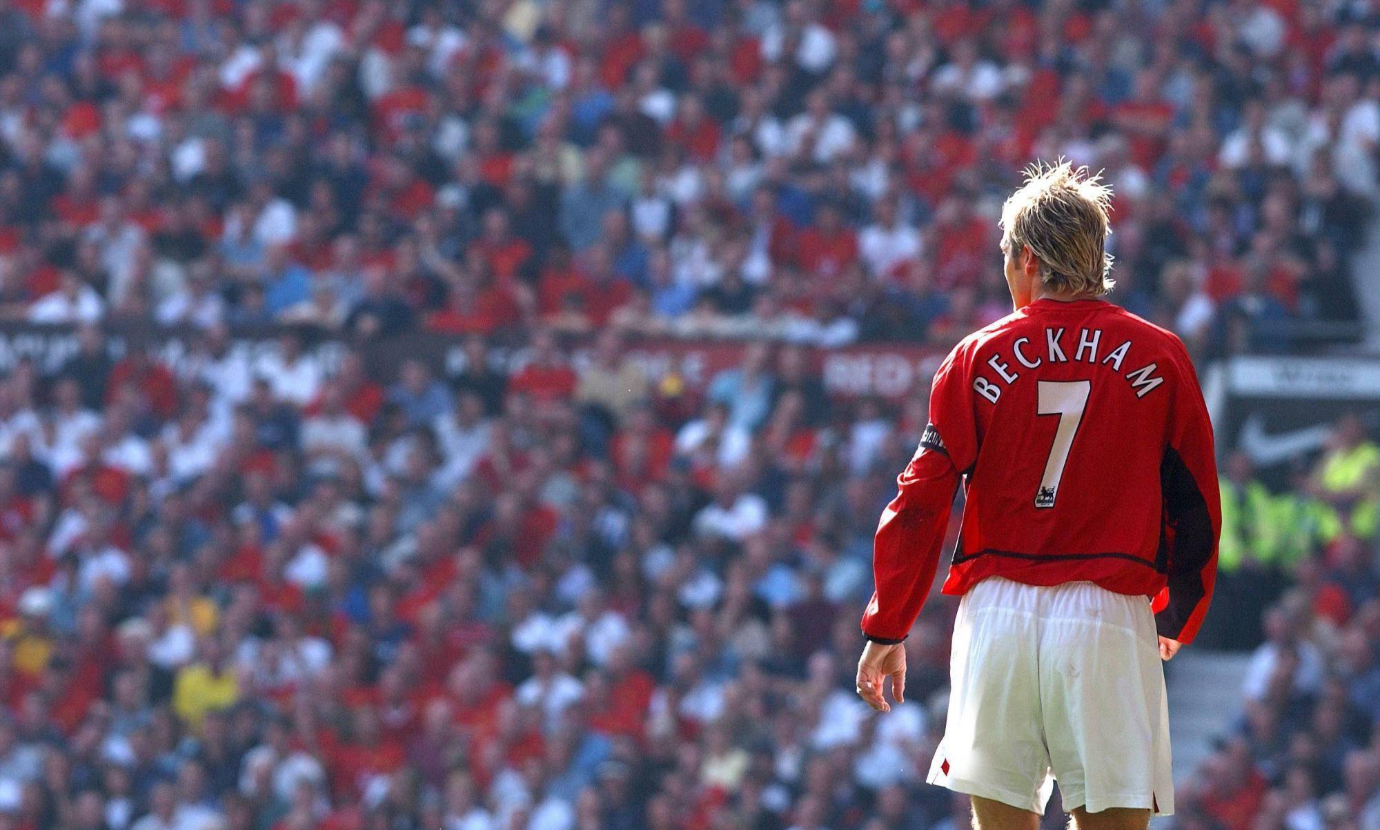 他们不仅在 他们不仅在